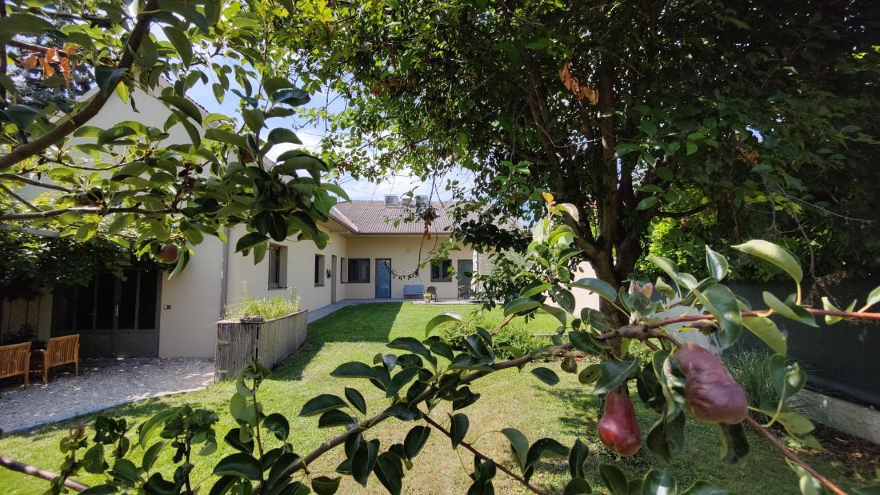 Sabines Apartments Ferienwohnungen 法劳恩科琴 外观 照片