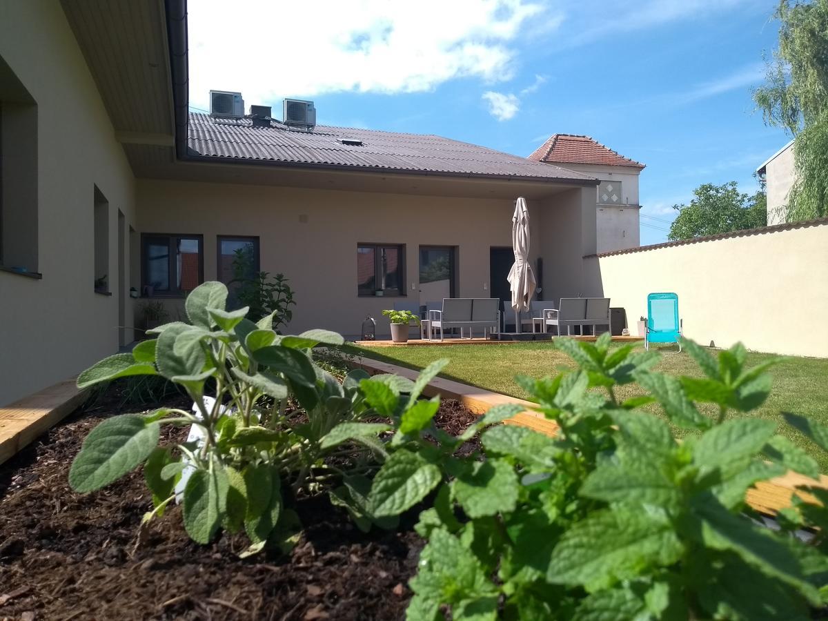 Sabines Apartments Ferienwohnungen 法劳恩科琴 外观 照片